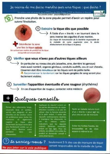 Fiche Conseils sur la morsure de Tique