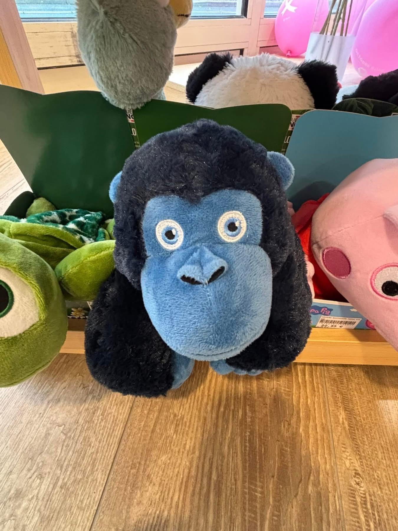 Id&eacute;es cadeaux 🎁