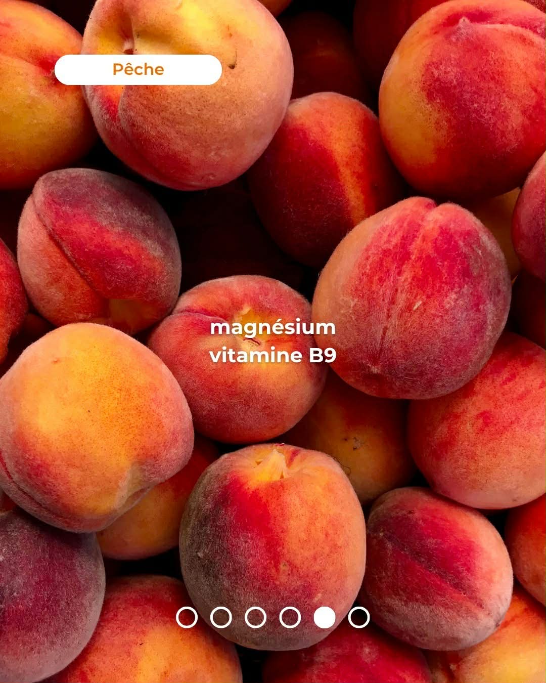 5 Fruits et l&eacute;gumes de saison 🌞