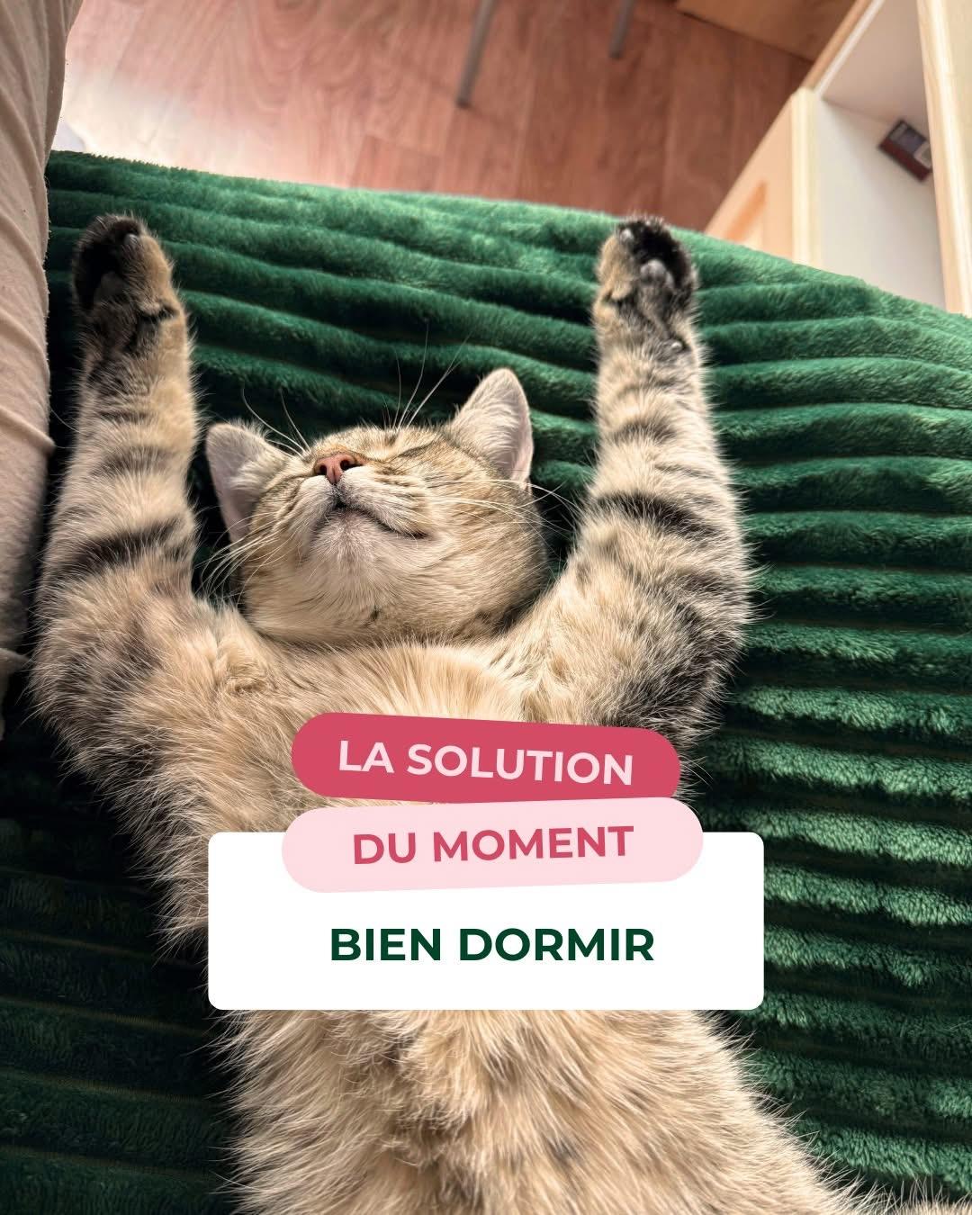 🛌 Bien dormir 😴