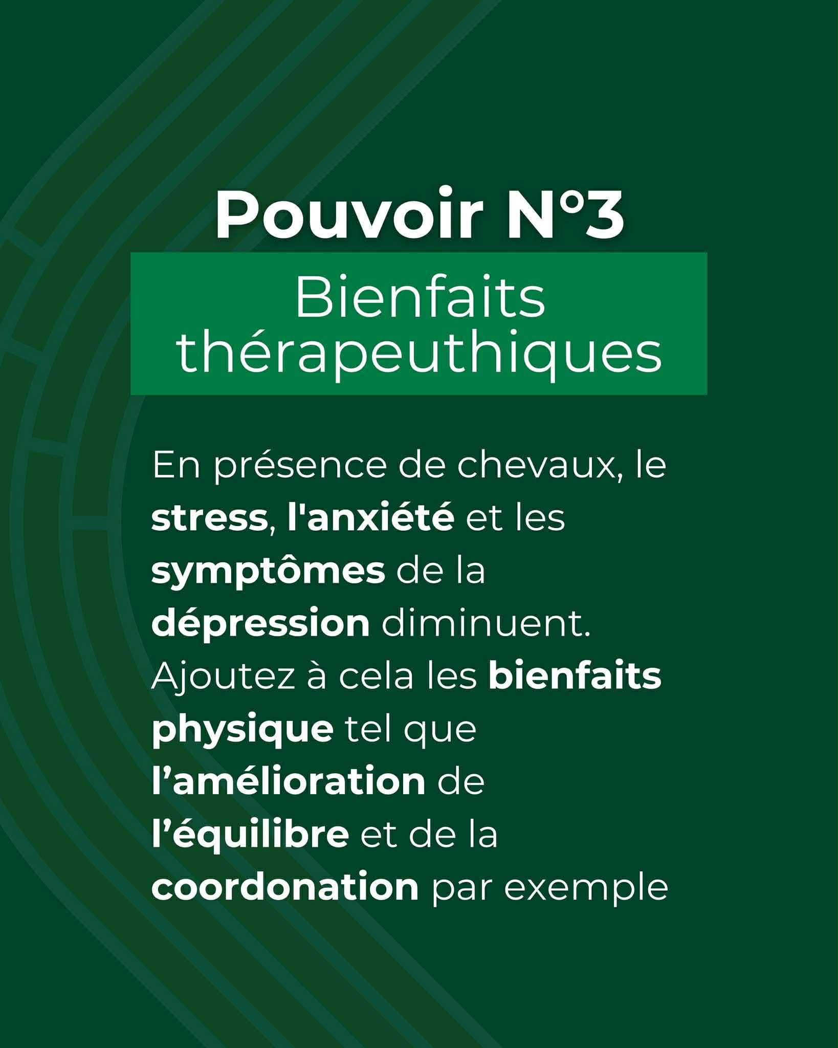 L&rsquo;&eacute;quitation