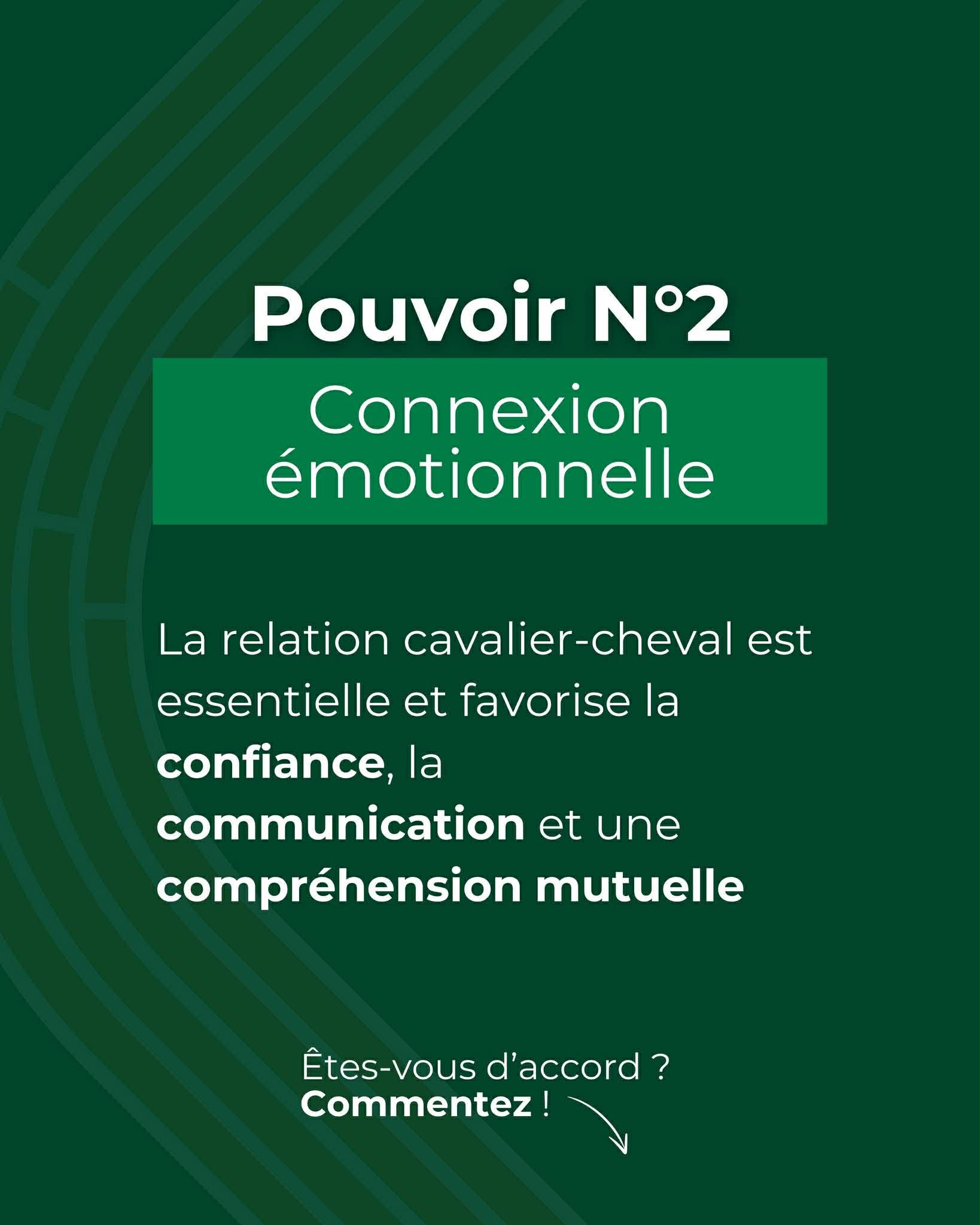 L&rsquo;&eacute;quitation