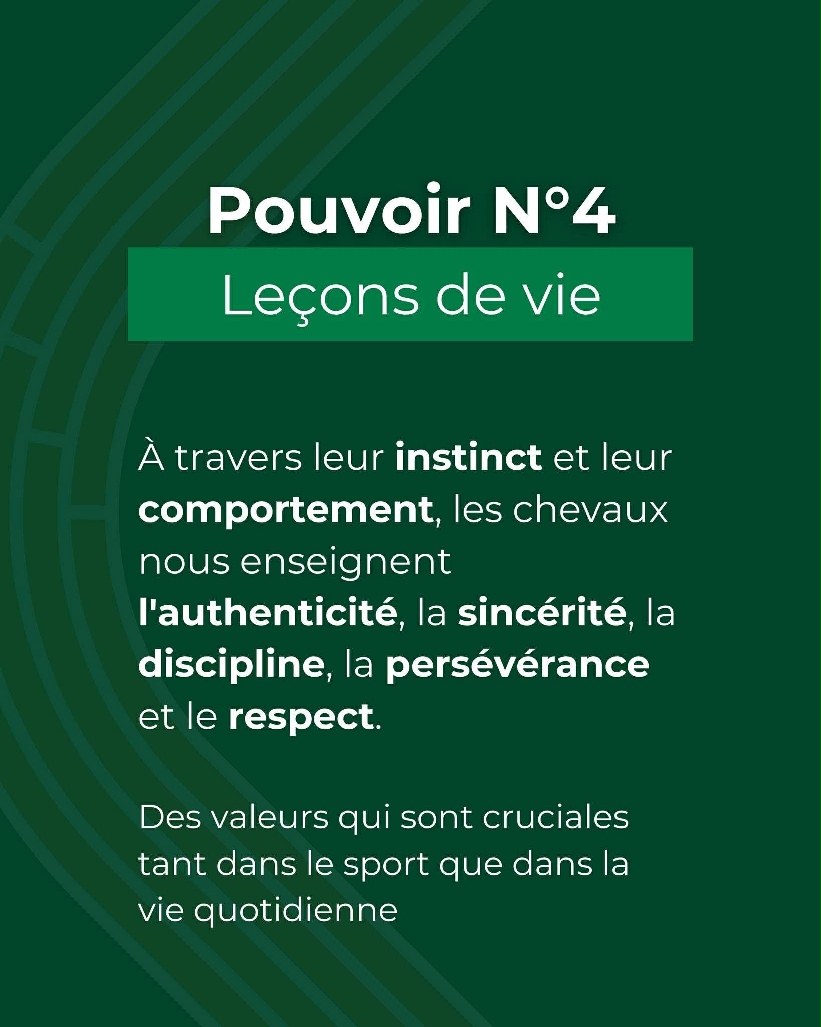 L&rsquo;&eacute;quitation